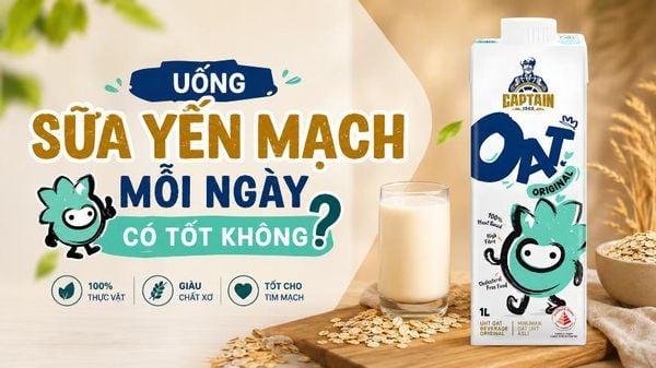 Uống Sữa Yến Mạch Mỗi Ngày Có Tốt Không?