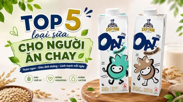 Top 5 Loại Sữa Cho Người Ăn Chay