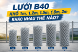 [GIẢI ĐÁP] Lưới B40 Khổ 1m, 1.2m, 1.5m, 1.8m, 2m Khác Nhau Thế Nào?