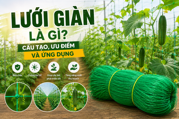 LƯỚI GIÀN LÀ GÌ? CẤU TẠO, ƯU ĐIỂM VÀ ỨNG DỤNG