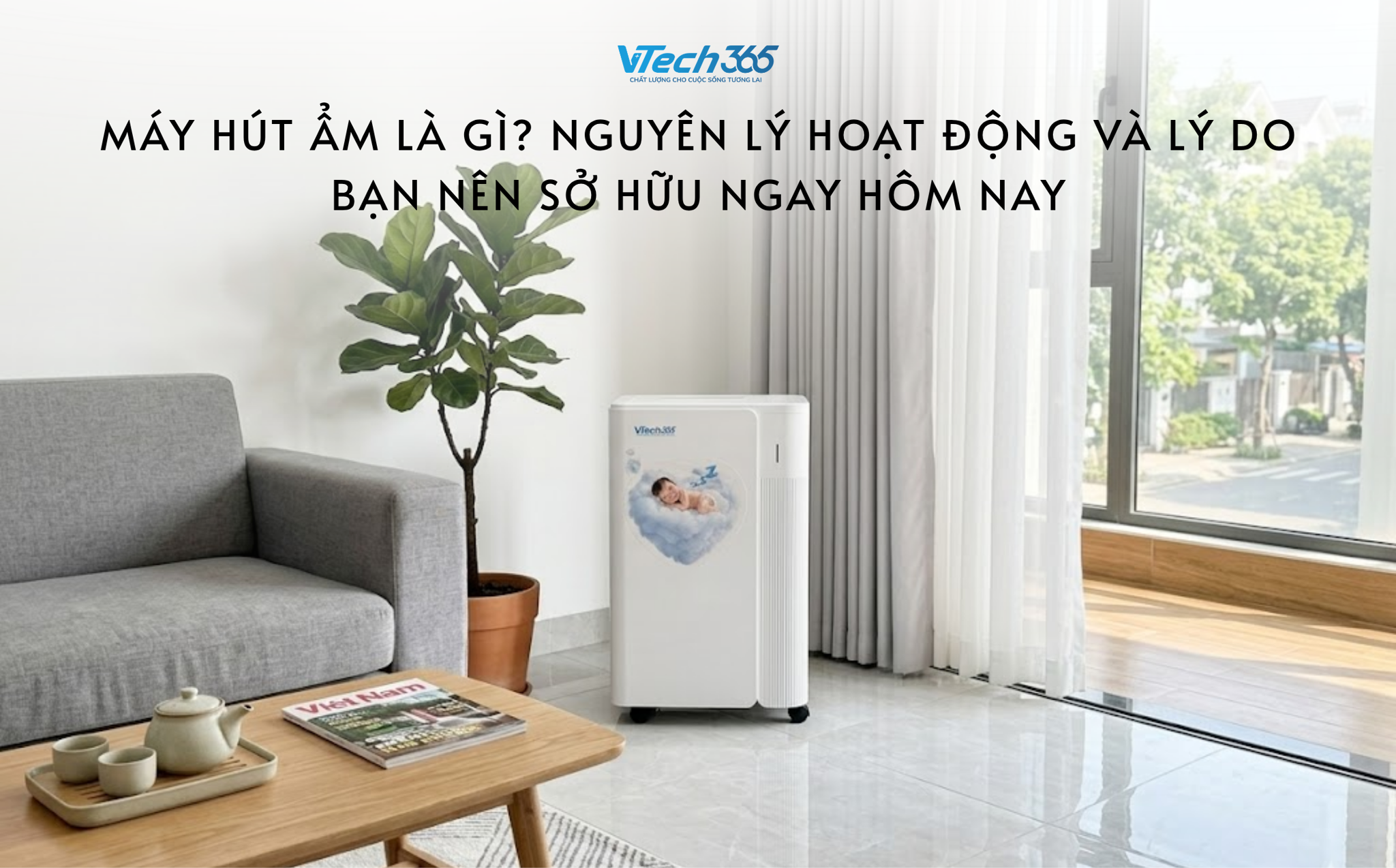 Máy hút ẩm là gì? Nguyên lý hoạt động và lý do bạn nên sở hữu ngay hôm nay