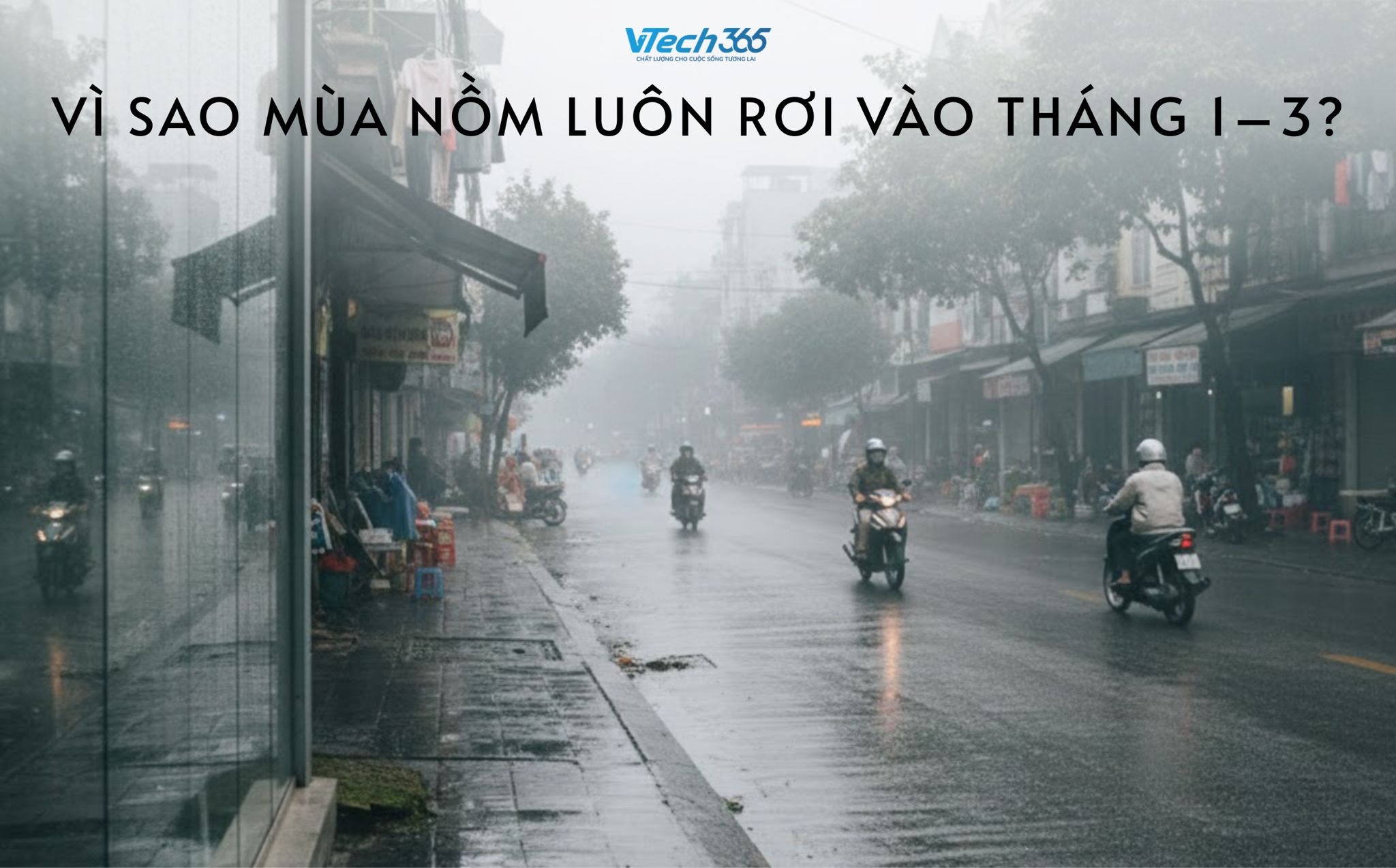 Vì sao mùa Nồm luôn rơi vào tháng 1–3? Giải mã hiện tượng “Nhà đổ mồ hôi”