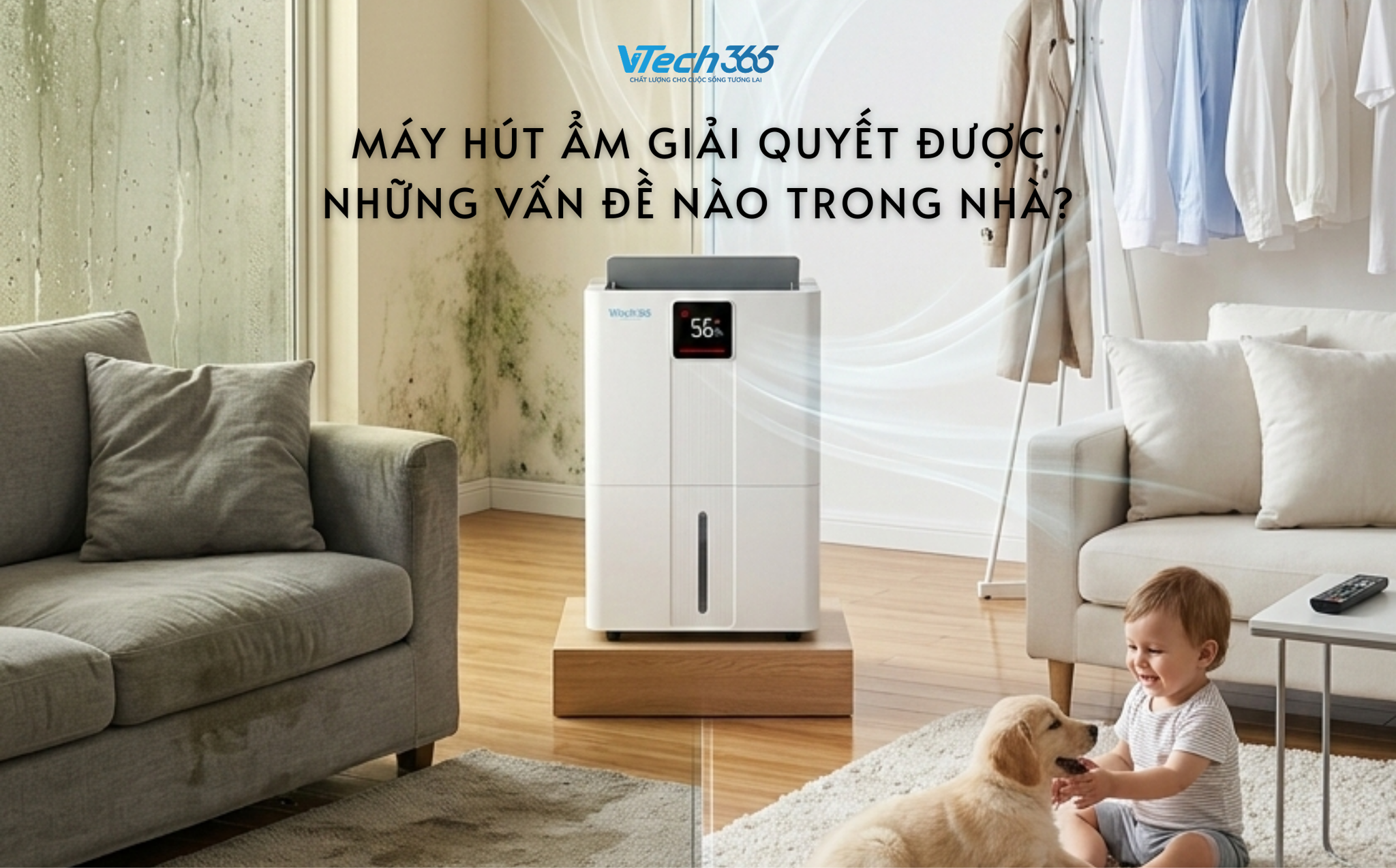 Máy hút ẩm giải quyết được những vấn đề nào trong nhà?