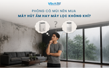 Phòng Có Mùi Nên Mua Máy Hút Ẩm Hay Máy Lọc Không Khí?
