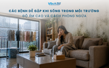 Các bệnh dễ gặp khi sống trong môi trường độ ẩm cao và cách phòng ngừa