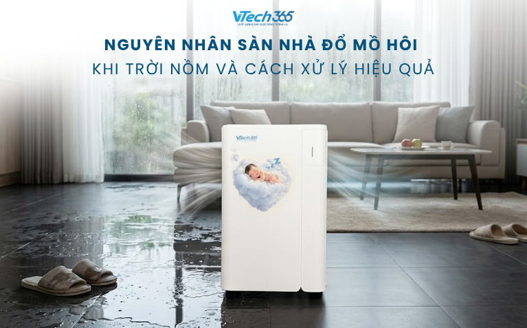 Nguyên nhân sàn nhà đổ mồ hôi khi trời nồm và cách xử lý hiệu quả