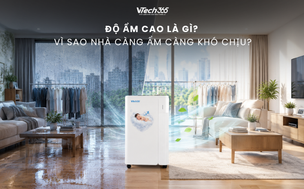 Độ ẩm cao là gì? Vì sao nhà càng ẩm càng khó chịu?