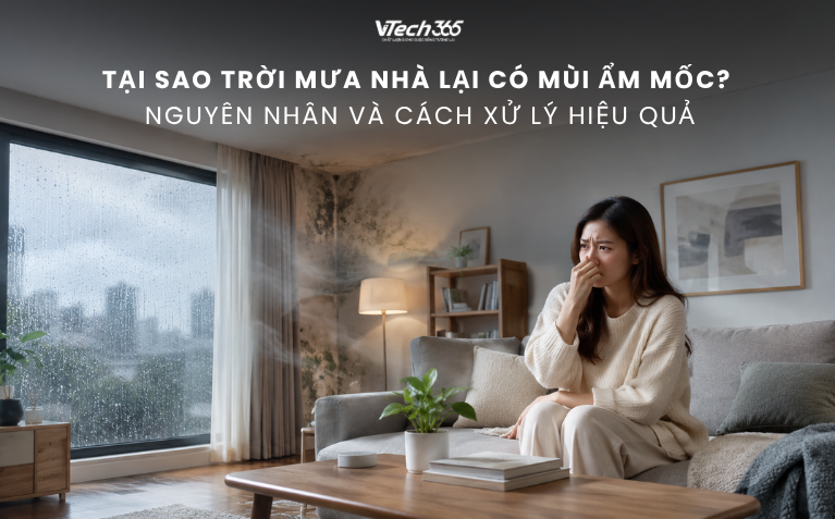 Tại sao trời mưa nhà lại có mùi ẩm mốc? Nguyên nhân và cách xử lý hiệu quả