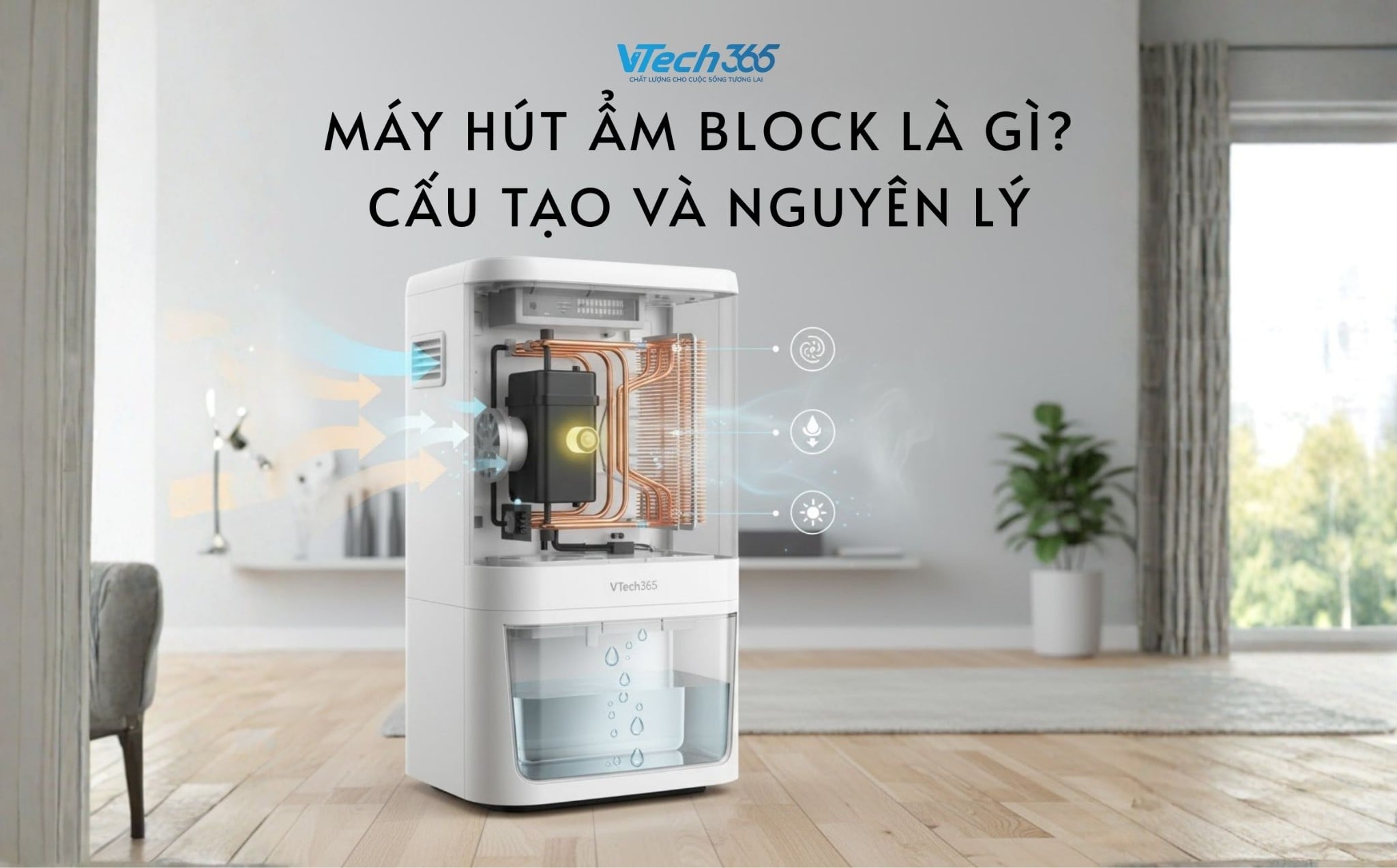 Máy hút ẩm Block là gì? Cấu tạo và nguyên lý