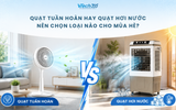 Quạt tuần hoàn hay quạt hơi nước: Nên chọn loại nào cho mùa hè?