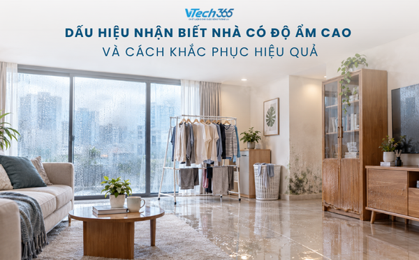 Dấu hiệu nhận biết nhà có độ ẩm cao và cách khắc phục hiệu quả