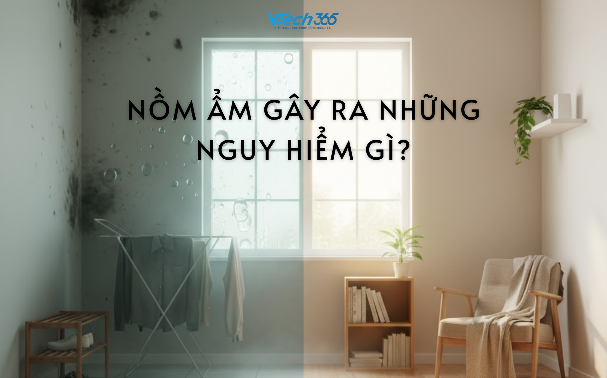 Nồm ẩm gây ra những nguy hiểm gì? Cảnh báo cho gia đình Việt