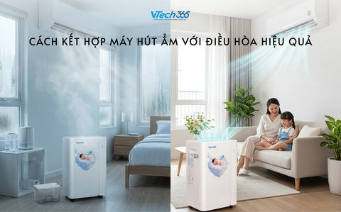 Cách kết hợp máy hút ẩm với điều hòa hiệu quả
