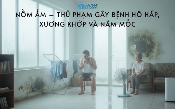 Nồm ẩm – Thủ phạm gây bệnh hô hấp, xương khớp và nấm mốc