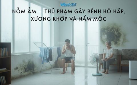 Nồm ẩm – Thủ phạm gây bệnh hô hấp, xương khớp và nấm mốc
