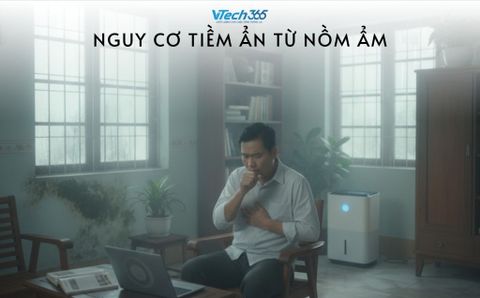 Nguy cơ tiềm ẩn từ nồm ẩm: Bệnh tật, nấm mốc và thiệt hại tài sản