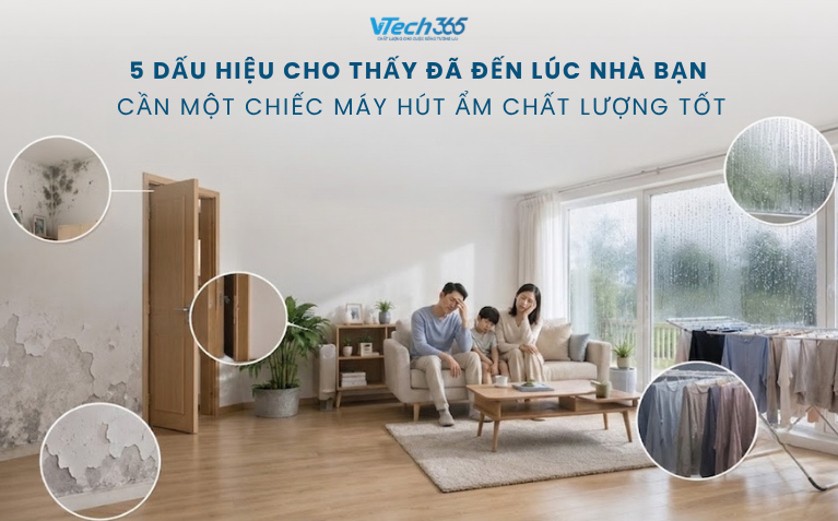5 Dấu Hiệu Cho Thấy Đã Đến Lúc Nhà Bạn Cần Một Chiếc Máy Hút Ẩm Chất Lượng Tốt