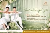 Hạnh Phúc Ngọt Ngào - Ưu Đãi Cưới Mới Nhất Tại Đại Hỷ Garden