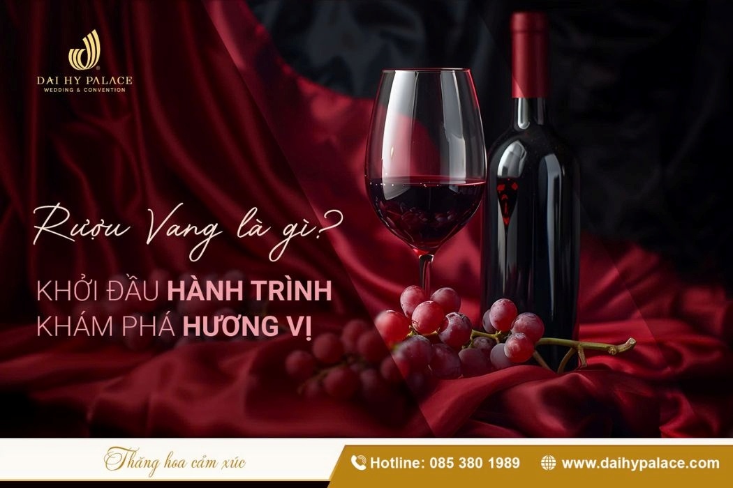 Vang Là Gì? Bí Mật Về Loại Thức Uống Sang Trọng Từ Pháp, Ý, Chile Đến Úc