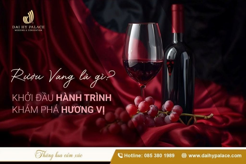 Vang Là Gì? Bí Mật Về Loại Thức Uống Sang Trọng Từ Pháp, Ý, Chile Đến Úc