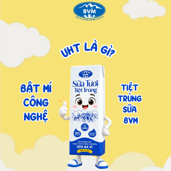 Công nghệ tiệt trùng là gì? Từ nguồn sữa nguyên liệu đến quy trình bảo toàn giá trị dinh dưỡng