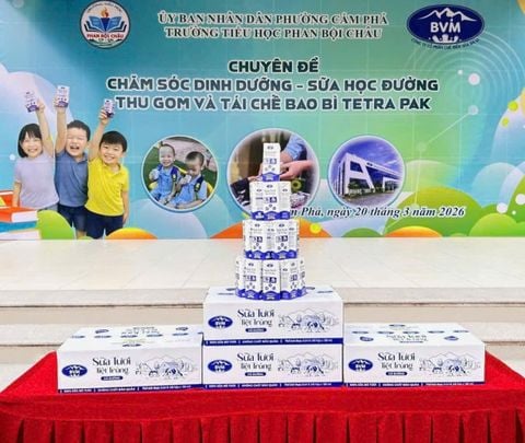 BVM đồng hành cùng chương trình sữa học đường tỉnh Quảng Ninh