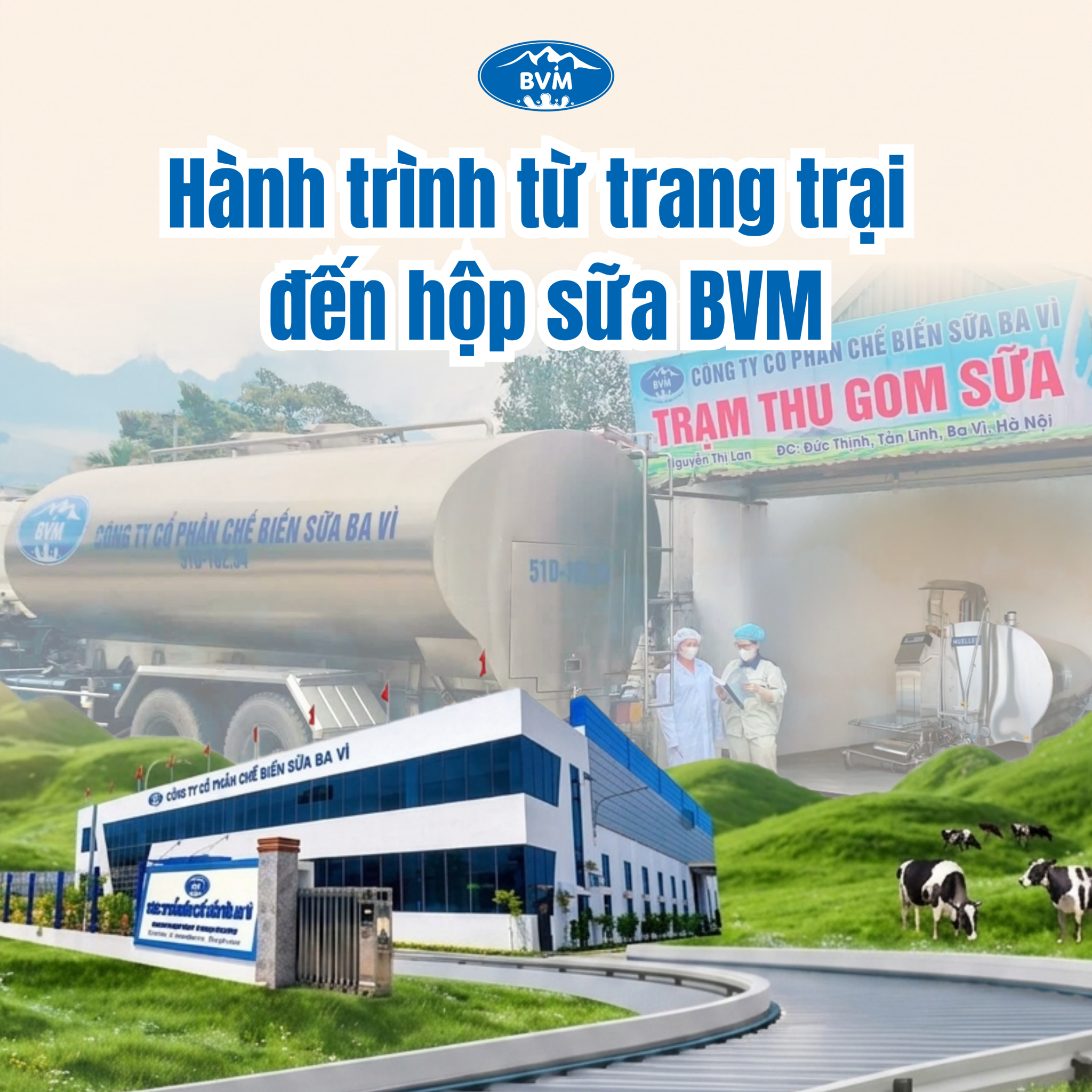 Hành trình từ trang trại đến hộp sữa BVM