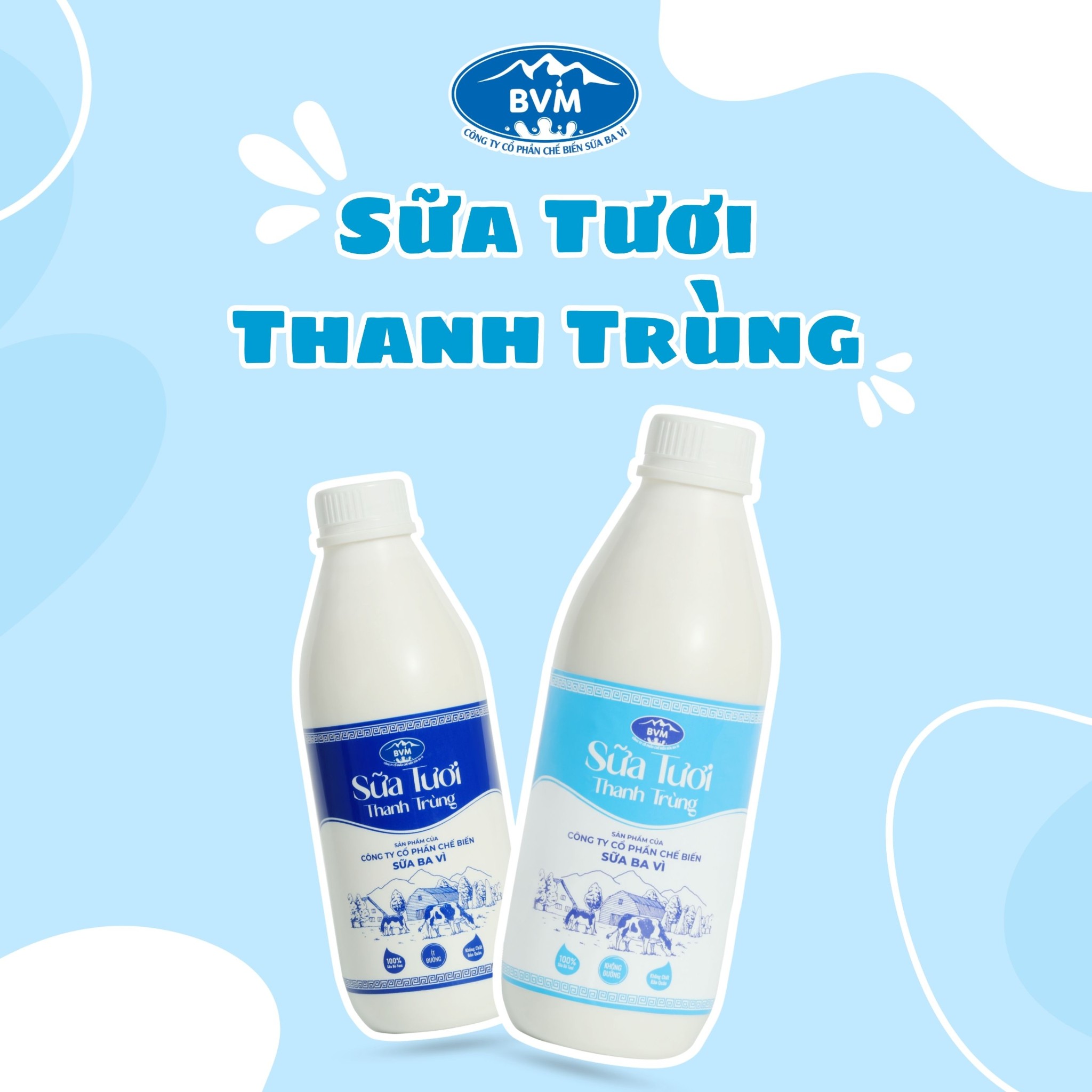 Sữa tươi thanh trùng BVM: Tươi ngon tự nhiên, lựa chọn dinh dưỡng cho cả gia đình