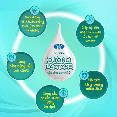 Vì sao đường lactose tốt cho cơ thể?