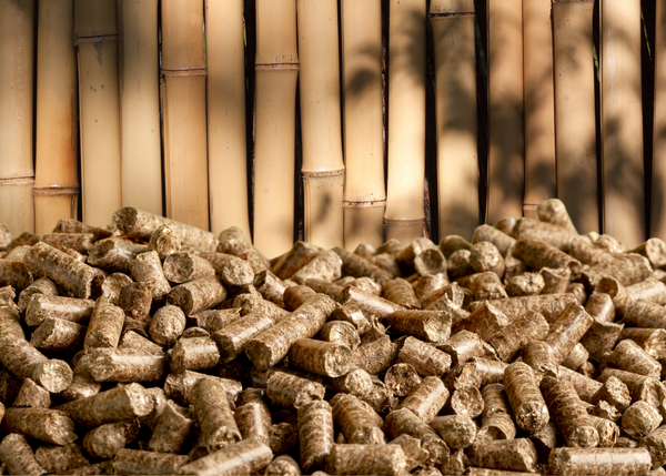 Bamboo Biomass Pellets - A Source of Clean Energy
