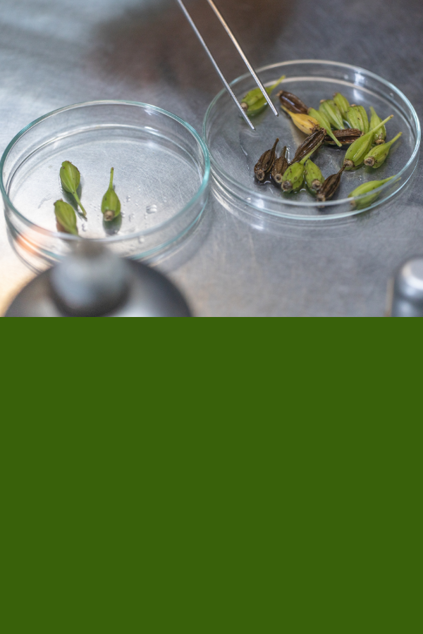 Công nghệ sinh học