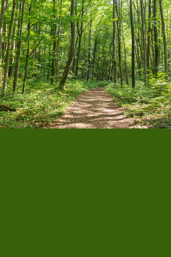 Nông lâm kết hợp