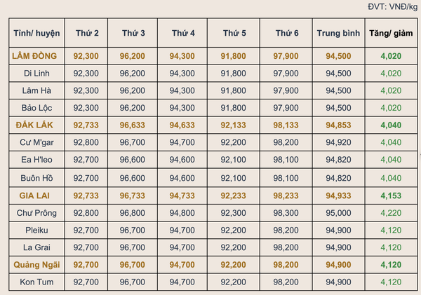 Thị trường cà phê tuần 27/2026: Giá đồng loạt tăng, EUDR siết chặt và nông nghiệp tái sinh trở thành 