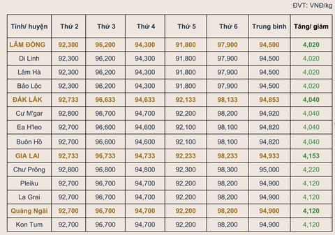 Thị trường cà phê tuần 27/2026: Giá đồng loạt tăng, EUDR siết chặt và nông nghiệp tái sinh trở thành 