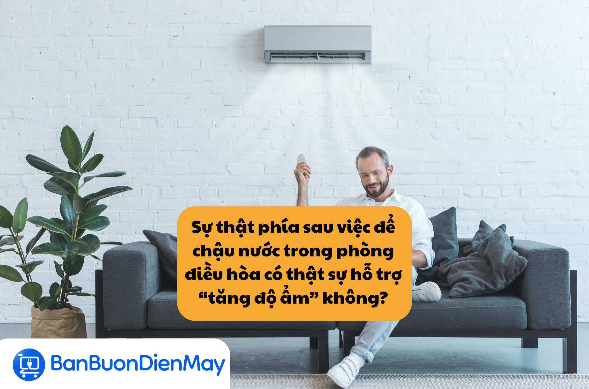 Sự thật phía sau việc để chậu nước trong phòng điều hòa có thật sự hỗ trợ  “tăng độ ẩm” không?