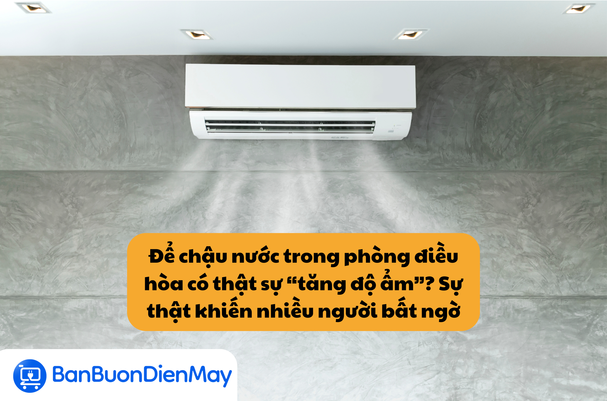 Để chậu nước trong phòng điều hòa có thật sự “tăng độ ẩm”? Sự thật khiến nhiều người bất ngờ
