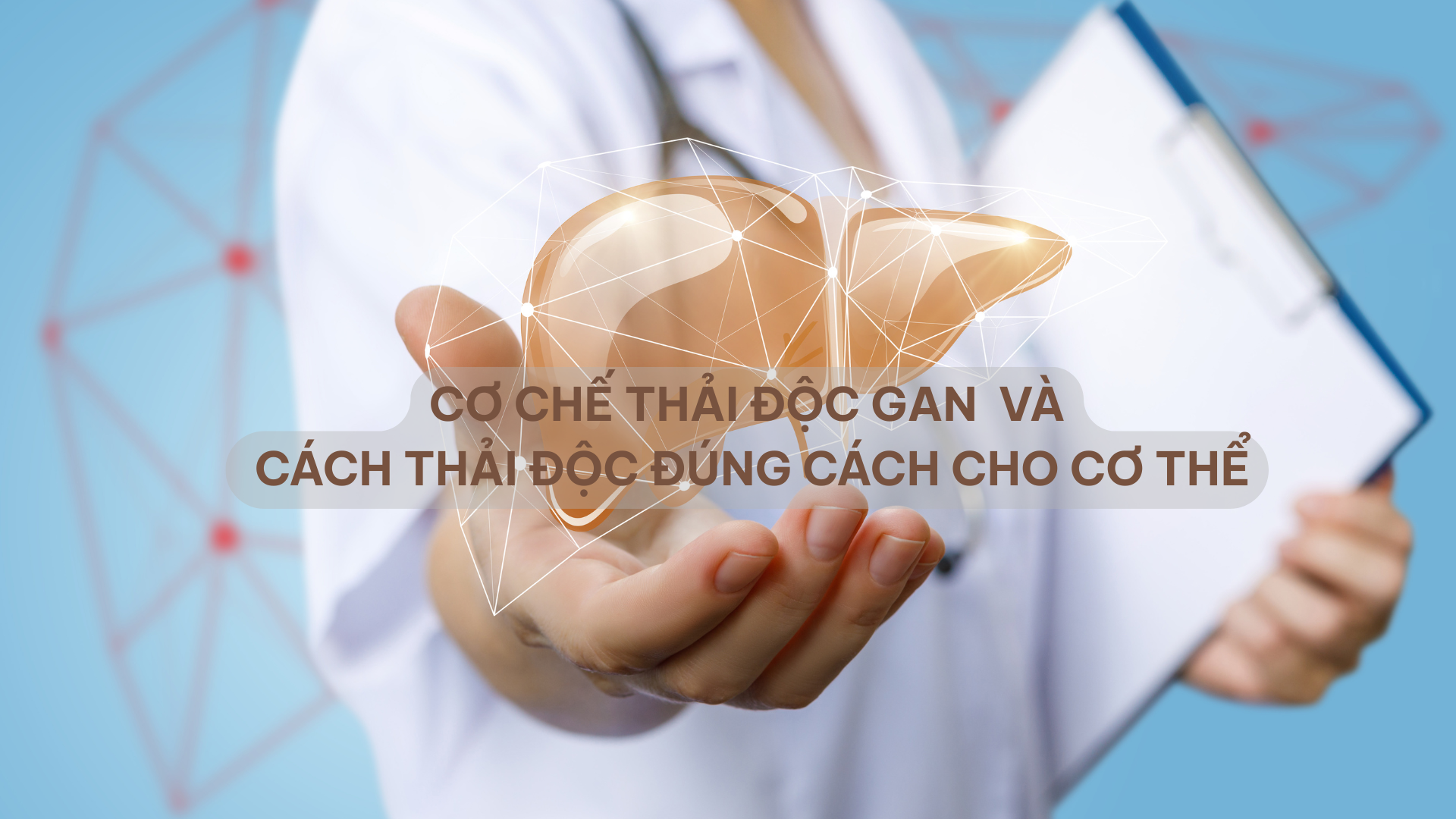CƠ CHẾ THẢI ĐỘC GAN VÌ SAO QUAN TRỌNG VÀ CÁCH THẢI ĐỘC GAN ĐÚNG CÁCH CHO CƠ THỂ