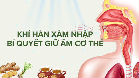 Khí Hàn Xâm Nhập Khi Sống Ở Vùng Lạnh: Bí Quyết Giữ Ấm Lục Phủ Ngũ Tạng Bằng Gừng Sả