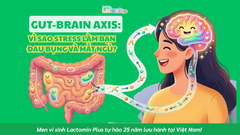 GUT-BRAIN AXIS: VÌ SAO STRESS LÀM BẠN ĐAU BỤNG VÀ MẤT NGỦ?