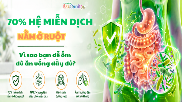 70% HỆ MIỄN DỊCH NẰM Ở RUỘT: VÌ SAO BẠN DỄ ỐM DÙ ĂN UỐNG ĐẦY ĐỦ?