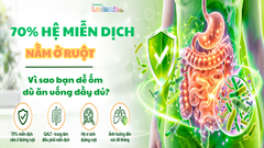 70% HỆ MIỄN DỊCH NẰM Ở RUỘT: VÌ SAO BẠN DỄ ỐM DÙ ĂN UỐNG ĐẦY ĐỦ?