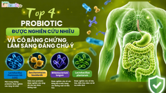 NÊN CHỌN PROBIOTIC NÀO? TOP 4 PROBIOTIC ĐƯỢC NGHIÊN CỨU NHIỀU VÀ CÓ BẰNG CHỨNG LÂM SÀNG  ĐÁNG CHÚ Ý