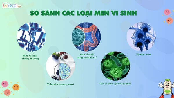 SO SÁNH CÁC MEN VI SINH