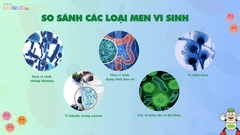 SO SÁNH CÁC MEN VI SINH