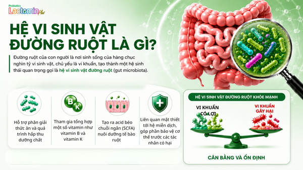 Hình ảnh bài viết