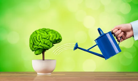 Taurine & Ginkgo Biloba: A Powerful Combination  to support Memory and Cognitive Focus
