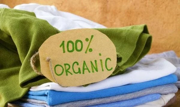Vải Cotton Organic là gì? Ưu điểm, quy trình sản xuất & Ứng dụng A-Z