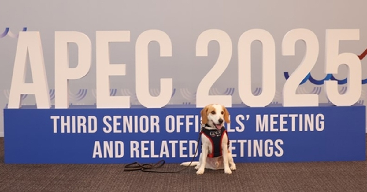 CESCO Vinh Dự Nhận Bằng Khen Từ Bộ Trưởng Bộ Ngoại Giao Hàn Quốc & Khẳng Định Vị Thế "K-Quarantine" Tại APEC 2025