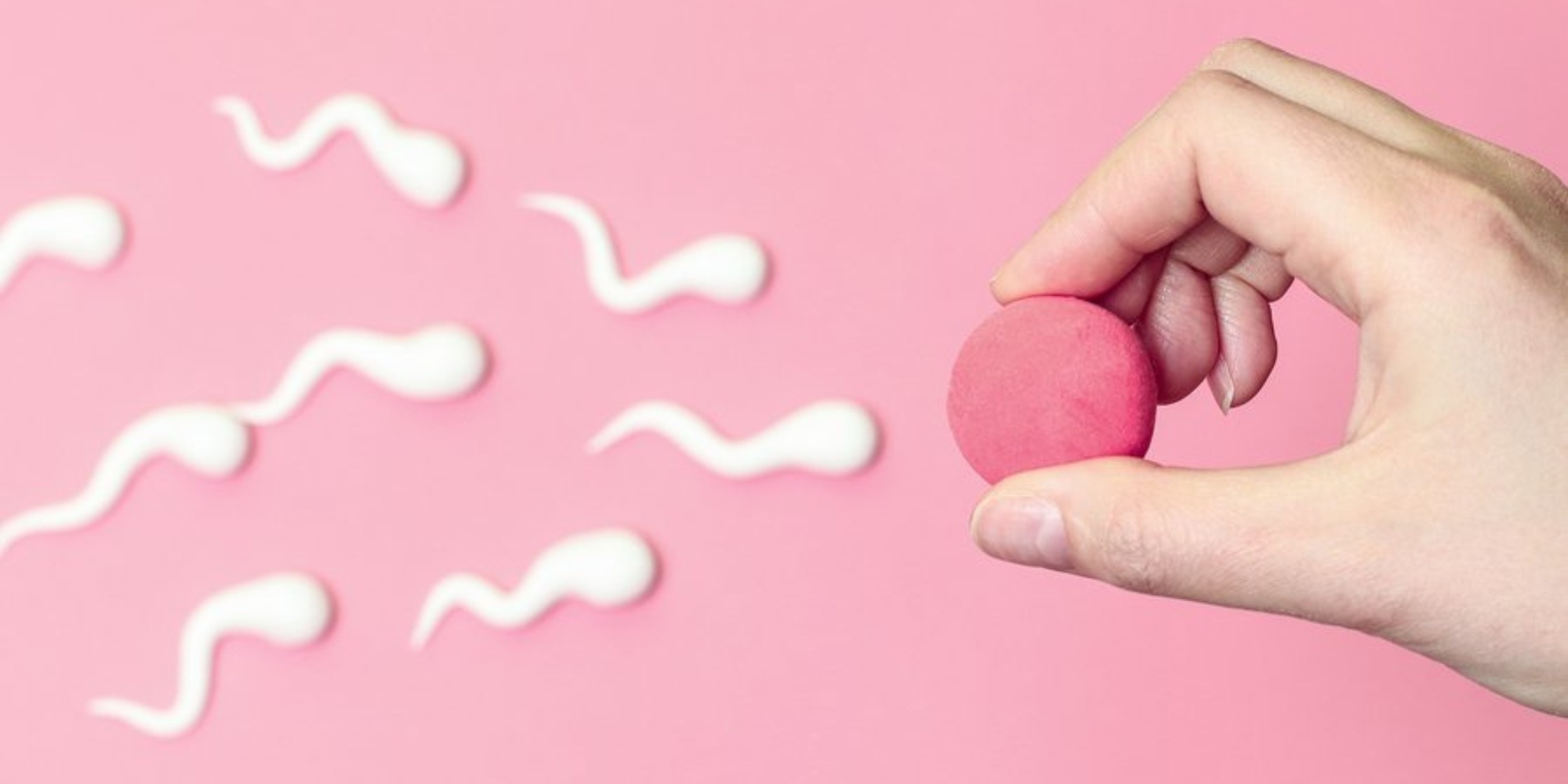 Bí Kíp Canh Trứng Chuẩn Xác Cho Mẹ