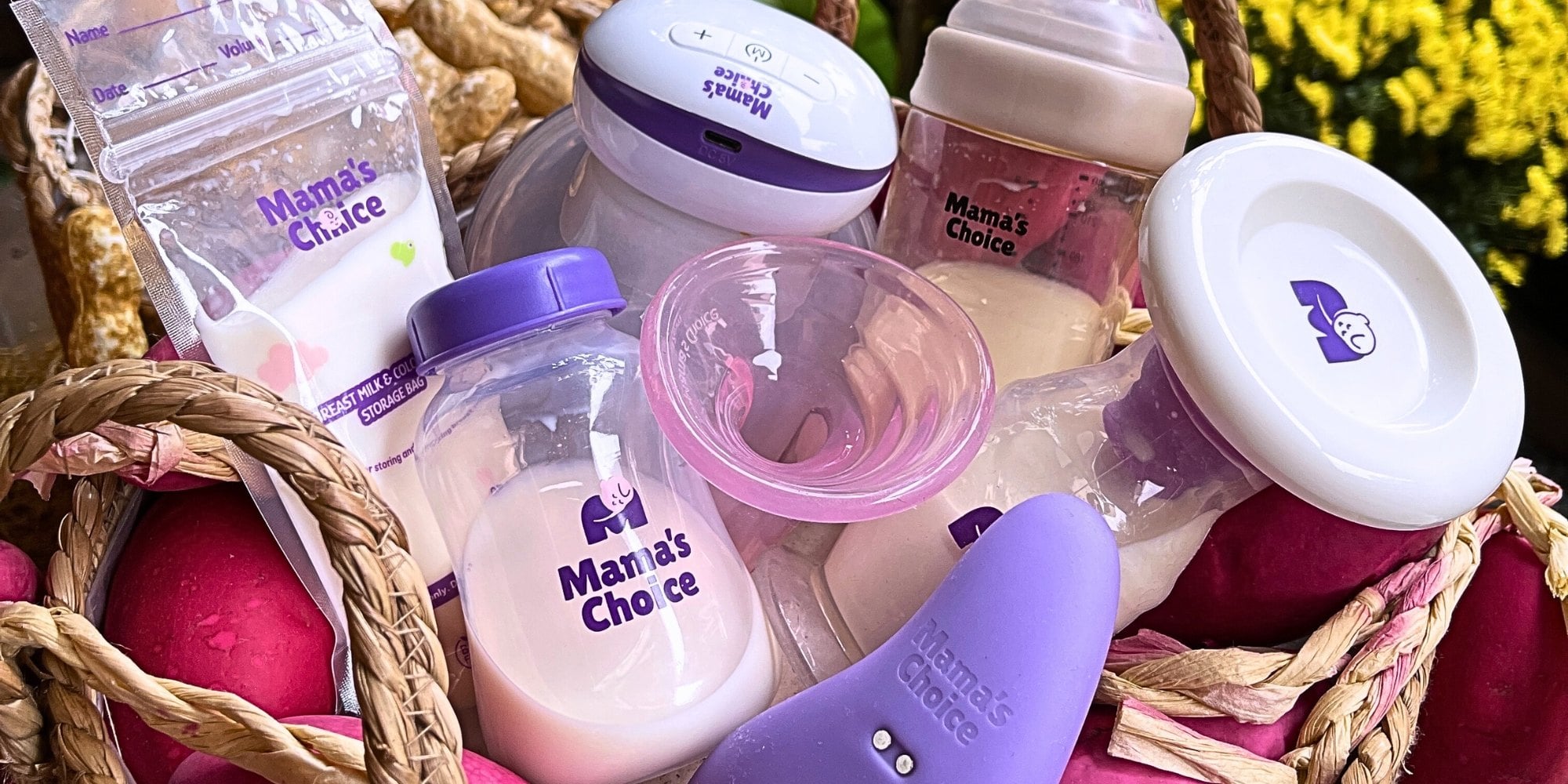 Combo Chống Tắc Tia Sữa Ngày Tết